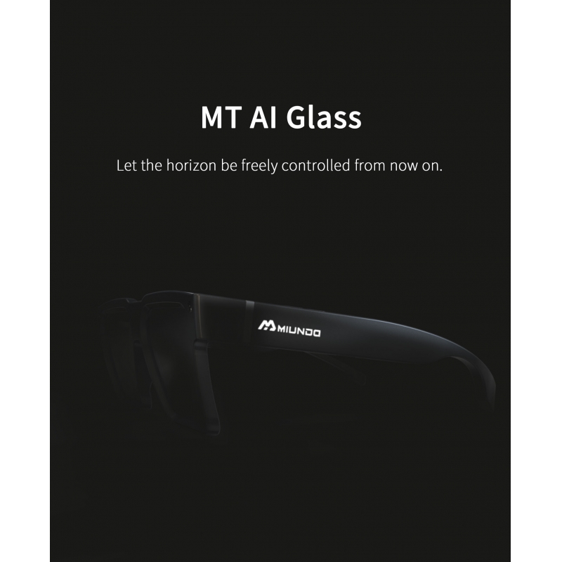 AI Glasses